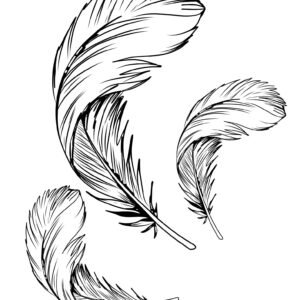 Plumas para colorear