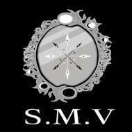silvermirrorvisions.com